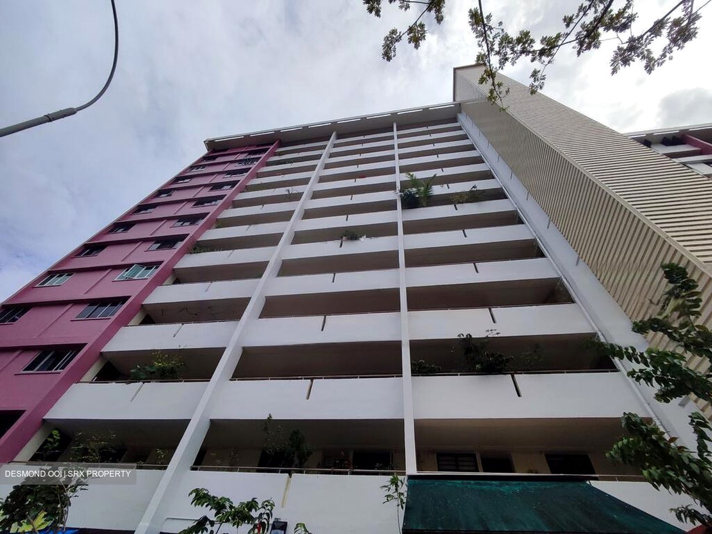 Yio Chu Kang Green (D20), Shop House #460162281